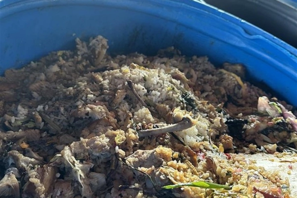 彰化芬園2豬場廚餘養豬　移動管制最高罰400萬