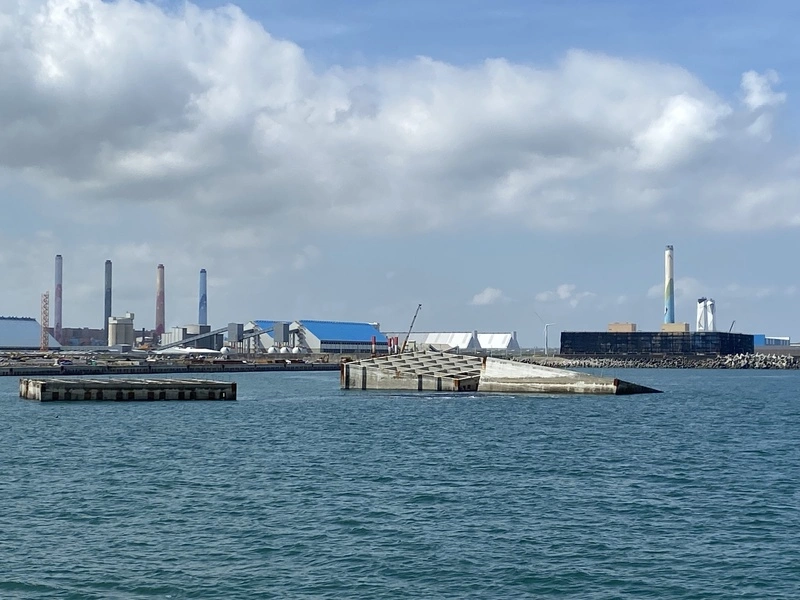 環團質疑台中港填海造陸工程 恐影響白海豚棲息