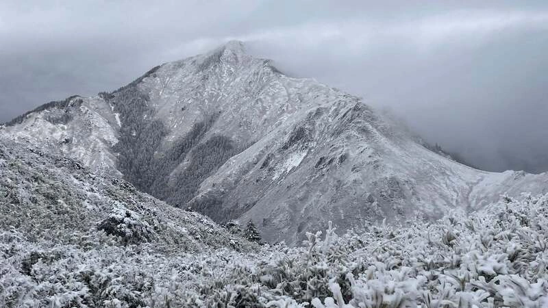 雪霸成銀白世界　高山積雪逾20公分