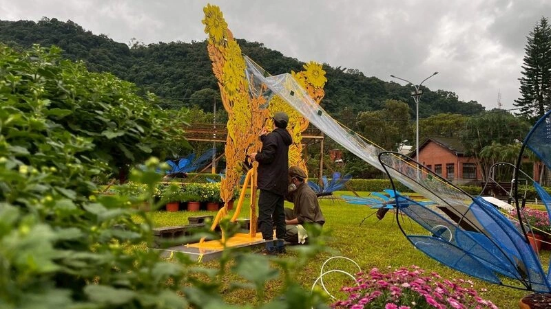 士林官邸菊展11/28登場