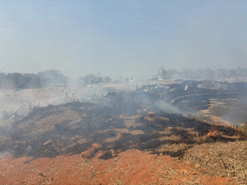 台中2天75起雜草、墓地火警　消防疲於奔命