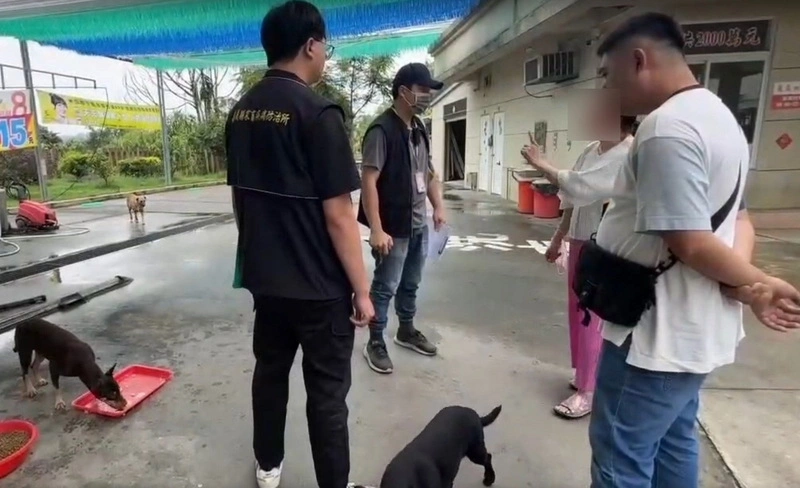吳姓婦人餵養遊蕩犬屢屢傷人