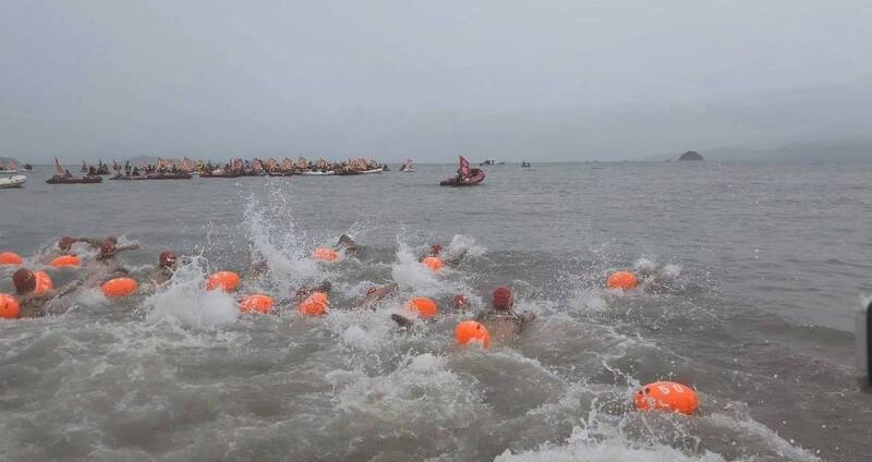 金廈泳渡接力賽登場　廈門海象不佳僅游1棒至中途