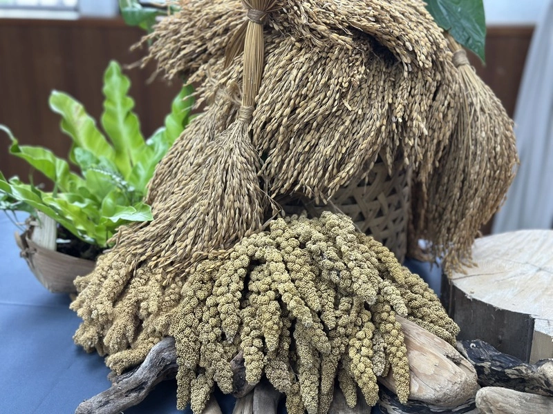 花蓮原住民傳統作物