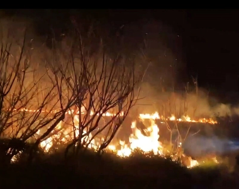 澎湖望安雜草火警　燃燒1萬平方公尺