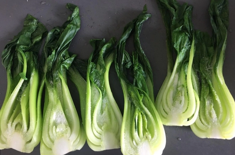 適合在地氣候與永續特性　瑞士本土青江菜快速走紅