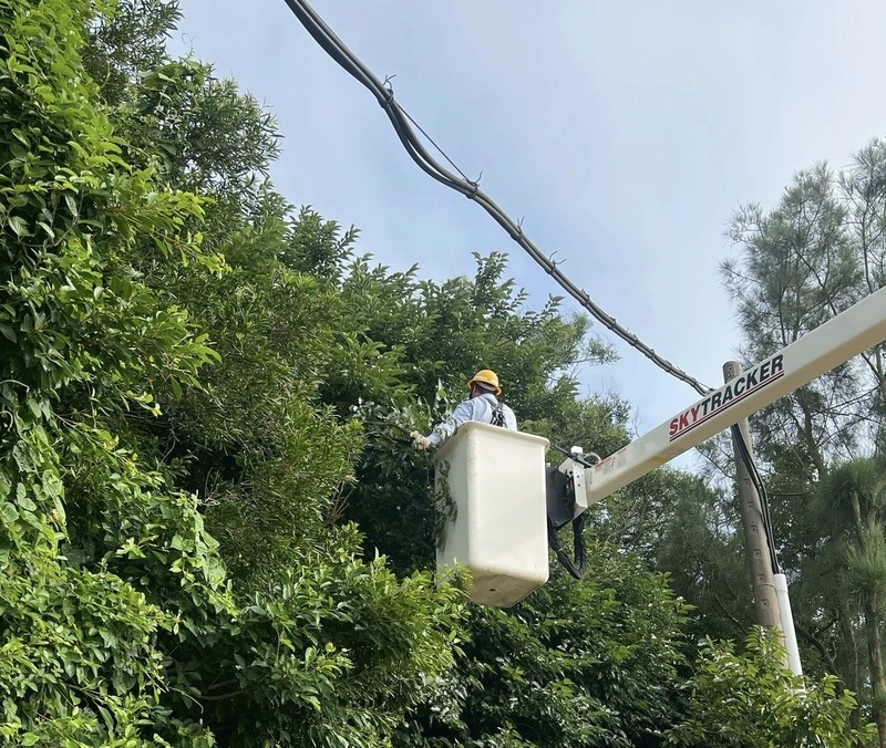 颱風沙德爾進逼　台電動員7215人力備戰防颱