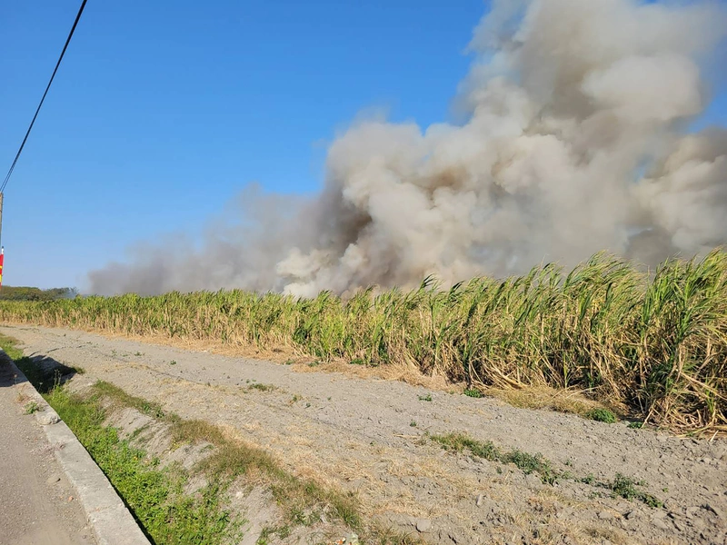 彰化二林台糖甘蔗園起火