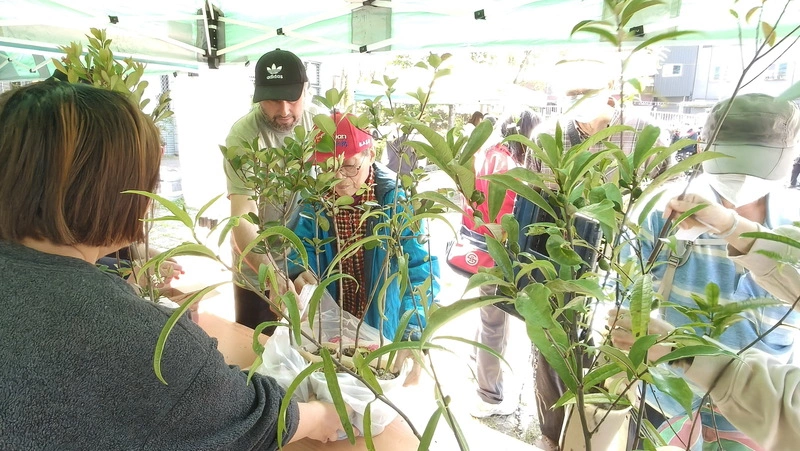 南投林保分署送苗木　為弱勢募1萬8000張發票