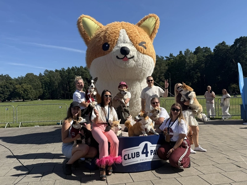 立陶宛年度柯基犬賽跑登場  美國毛孩遠道參戰吸睛