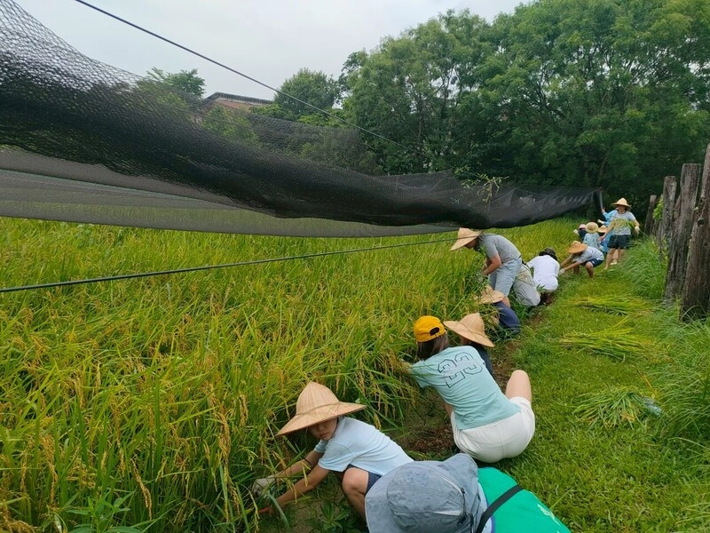 環教場所逾6成公立　助整合自然人文
