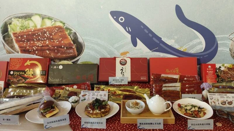 鰻魚外銷日本下滑　漁業署開發多種新料理拓內銷