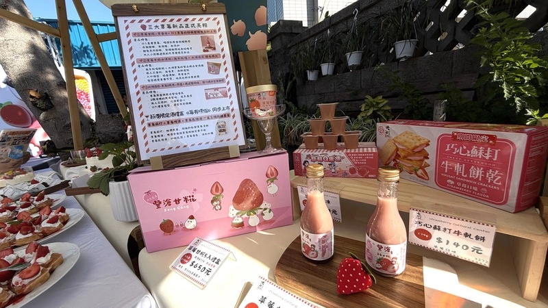 苗栗大湖草莓季開跑（3）