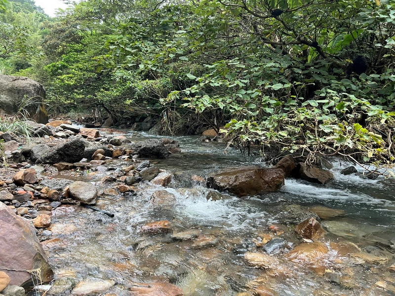 淡蘭古道慢旅　走進平溪紫東體驗生態秘境