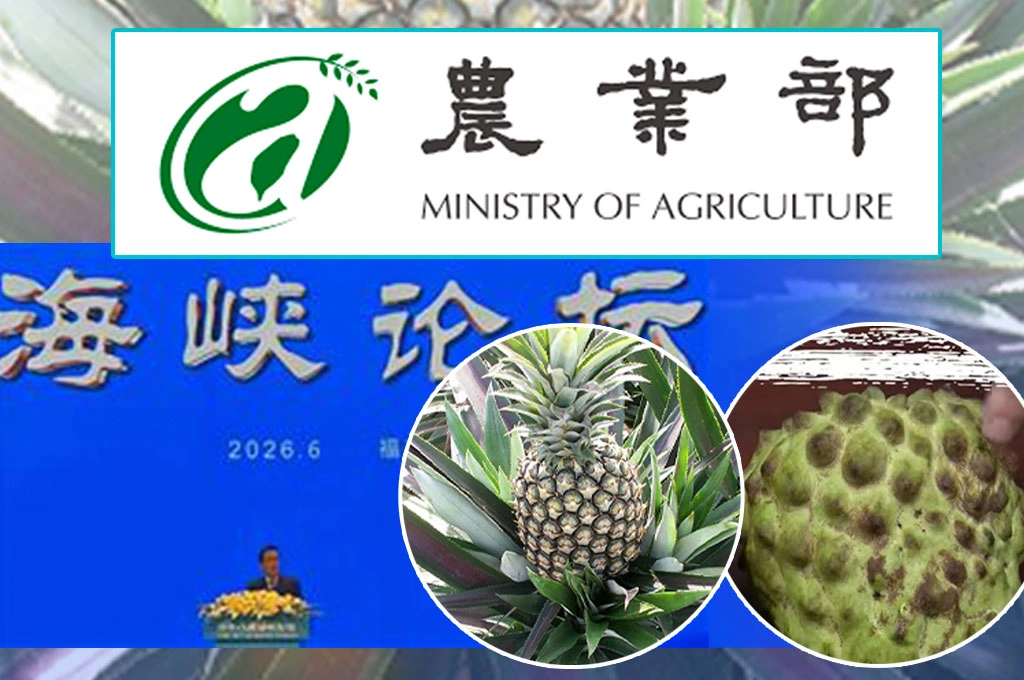 糖衣大禮包還是真訂單？中國宣布採購台灣農漁產品　農民期待、政府保留
