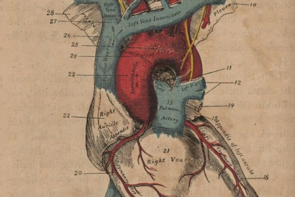 台南基督宗教文物普查  百年前天書見證文化融合