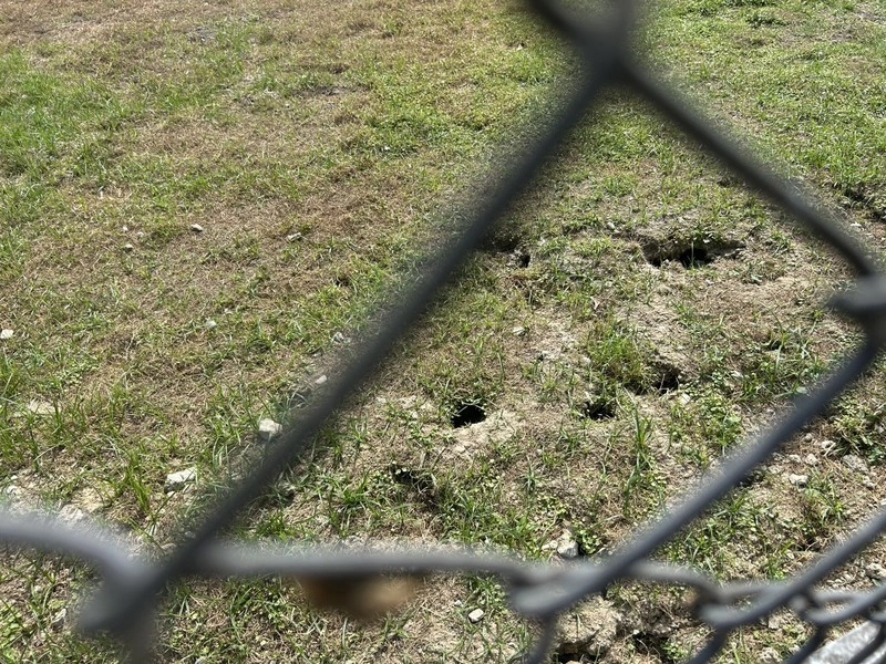 網指基隆南站草地成老鼠窩  台鐵遭罰9600元