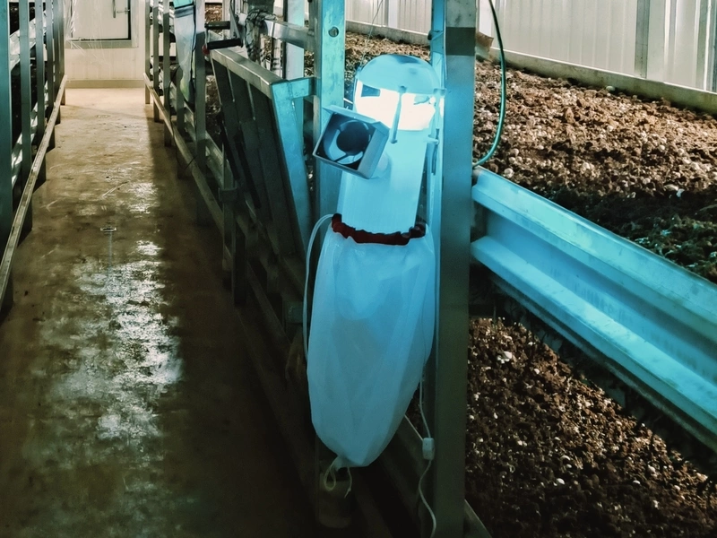 農試所開發智慧型LED燈滅蟲技術防治菇類病蟲害