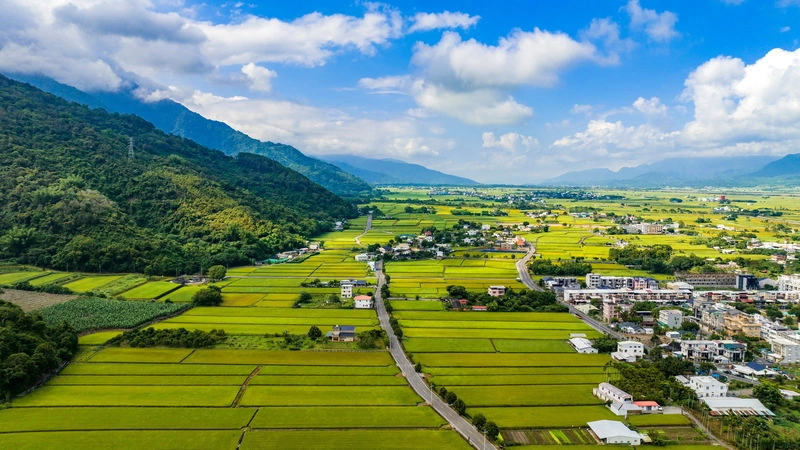 花東縱谷AI旅遊嚮導  中英日韓語都可通