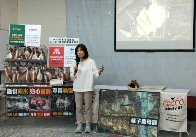 動保團體倡非籠飼雞蛋