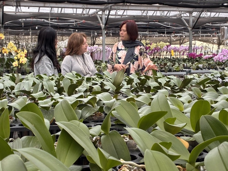 台美新經貿　蘭花業者籲思考貼近市場在地化生產