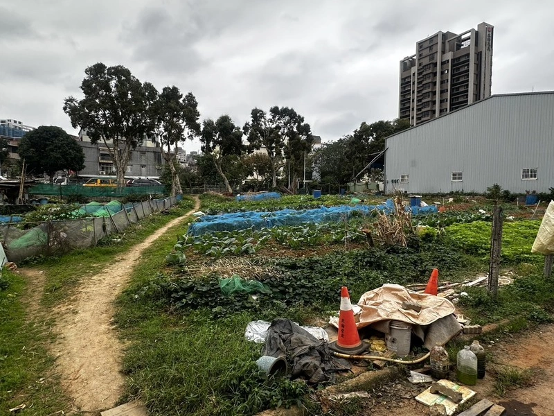 新北林口菜園衝突　7旬翁身中4刀