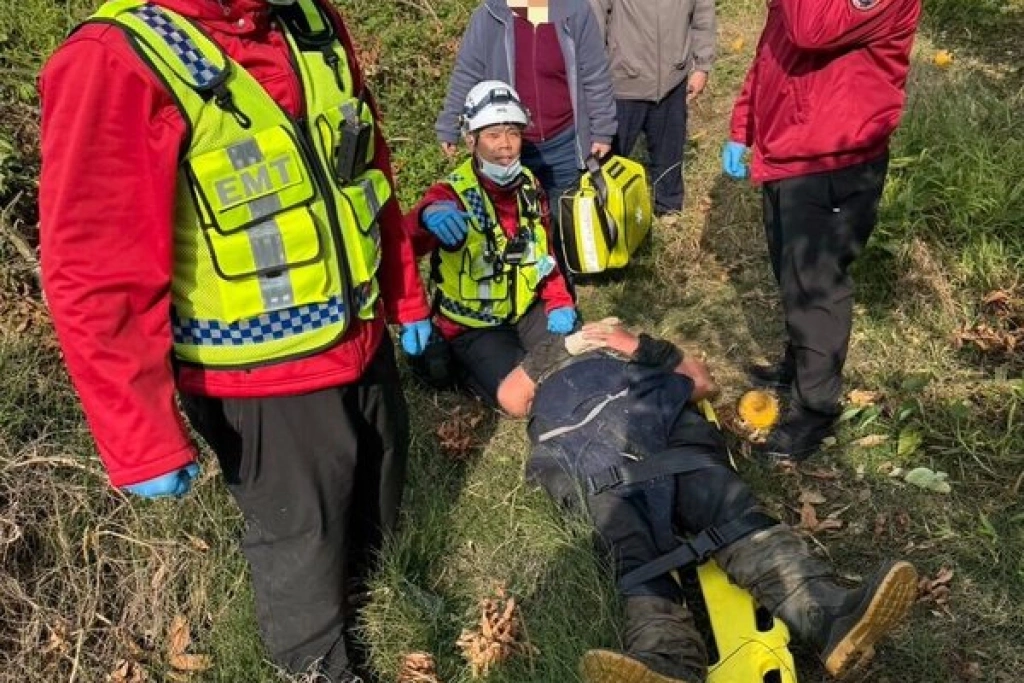 田間工作遭蜂群攻擊　1男嚴重過敏意識不清