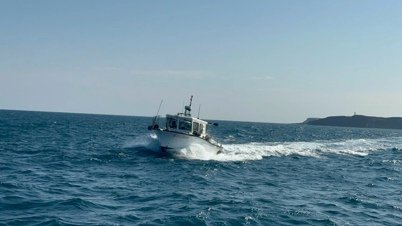 守護南方四島海洋資源　海管與縣府加強力道巡檢