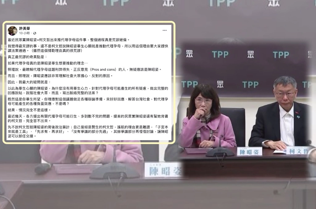陳昭姿稱推動代理孕母是「畢生心願」...許美華批「荒謬絕倫」：拿不出完整法案和論述、推動法案理由「只剩情緒綁架」！