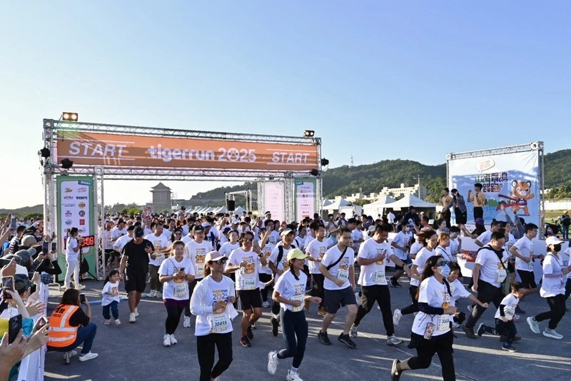 台灣虎航睽違5年辦路跑　近3千跑者參與