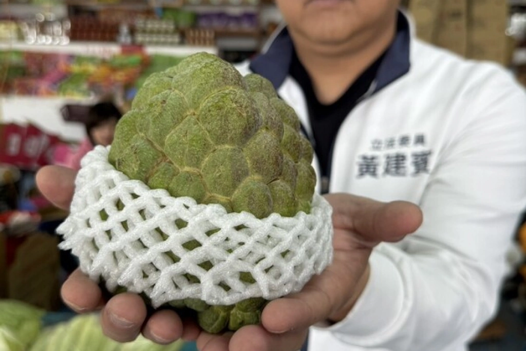 台東鳳梨釋迦拓展外銷市場　黃建賓爭取補助