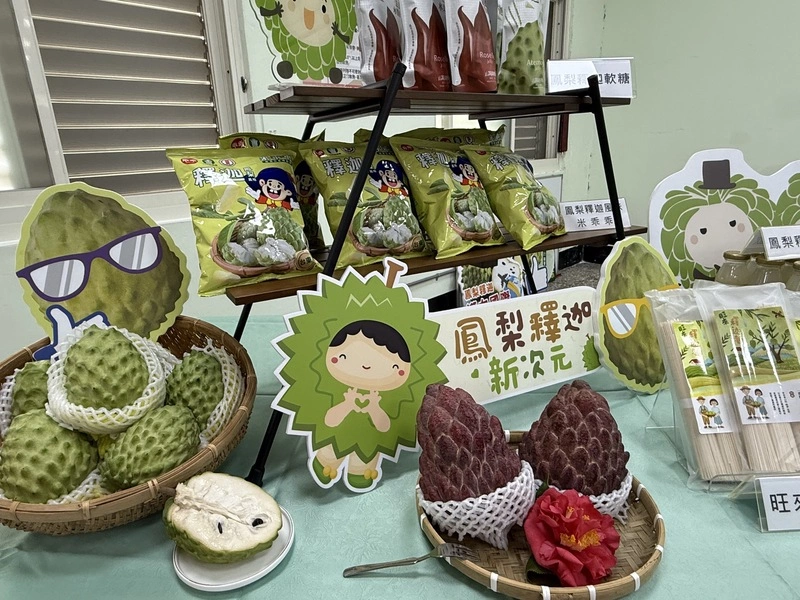 台東鳳梨釋迦採收旺季 農糧署祭外銷及加工補助