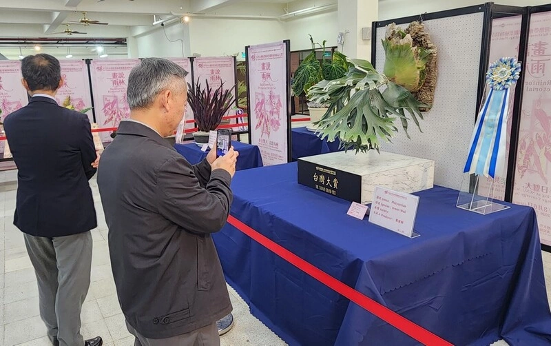 南投埔里觀葉植物大賞　育種能力精進盼行銷世界