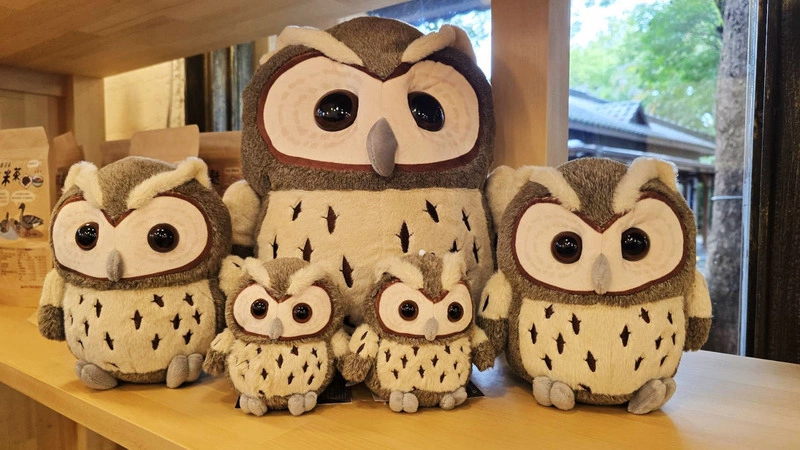 羅東林場推萌樣領角鴞布偶　兼具宣傳生態保育