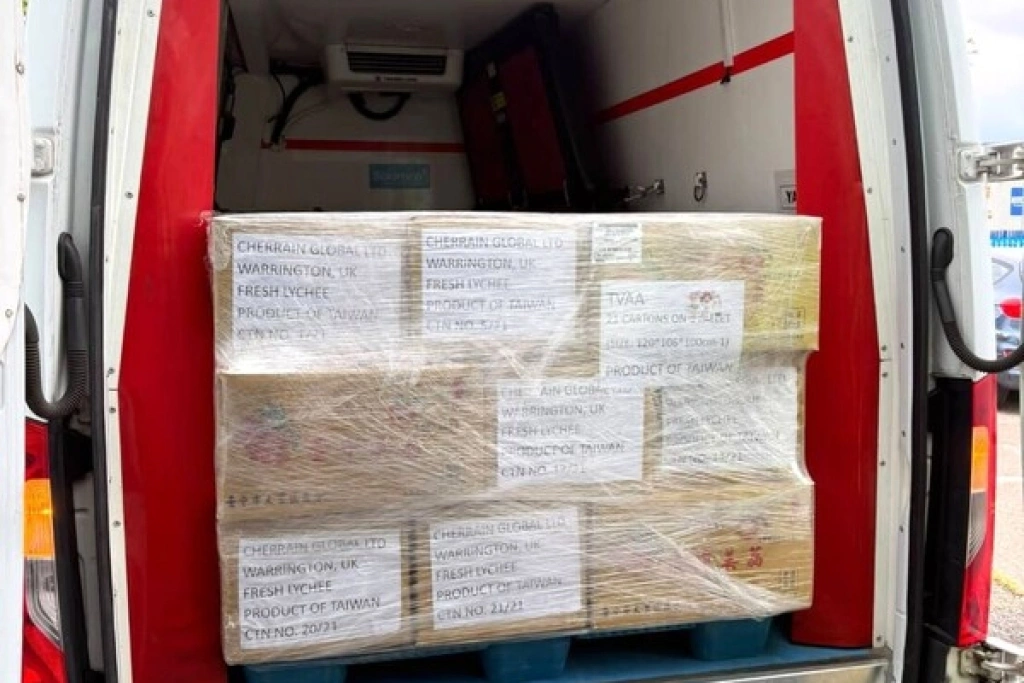 台灣芒果荔枝首批空運抵英國　多元通路放眼歐洲