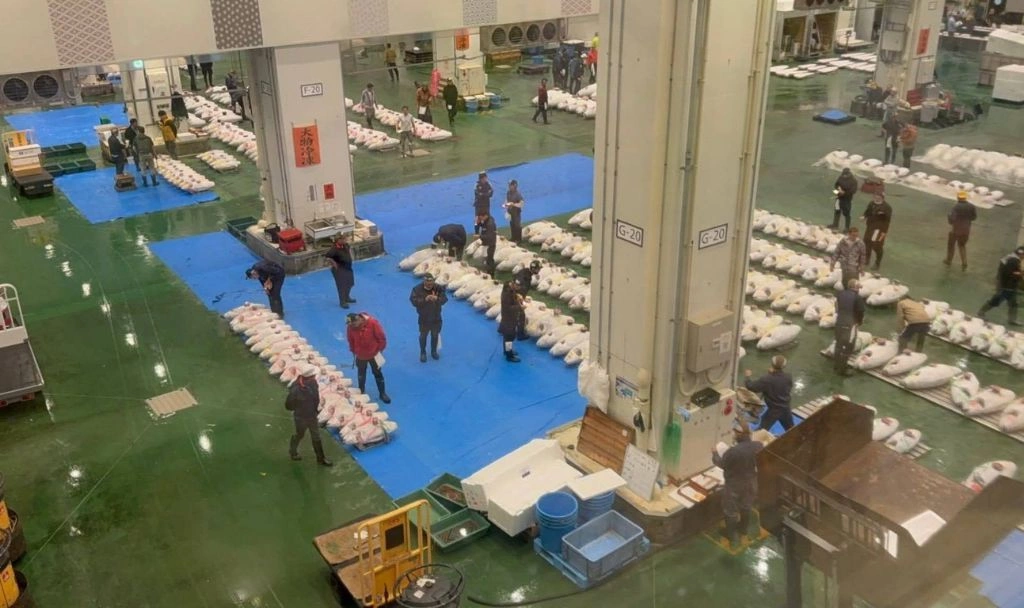 邱澤搭柯佳嬿升級夫妻　新片入住凶宅遇怪事