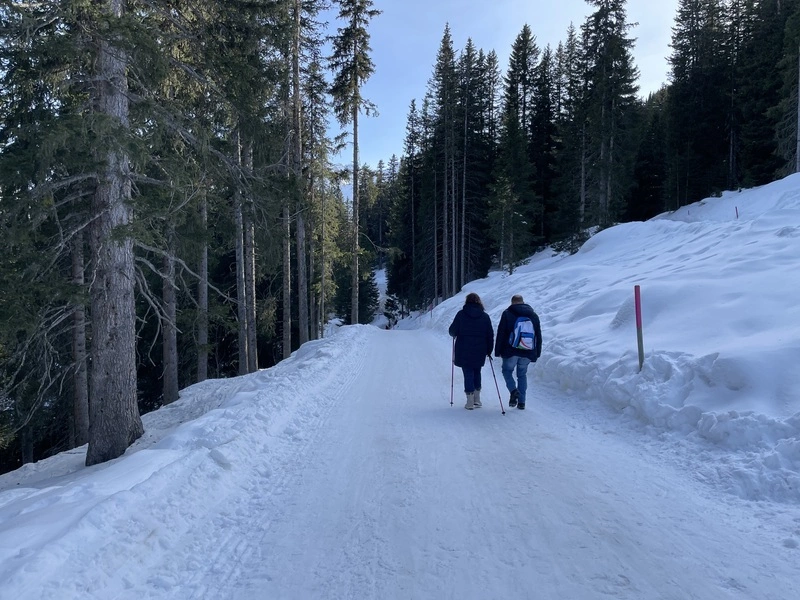 瑞媒:雪況不穩致阿爾卑斯山滑雪季死亡增至127人