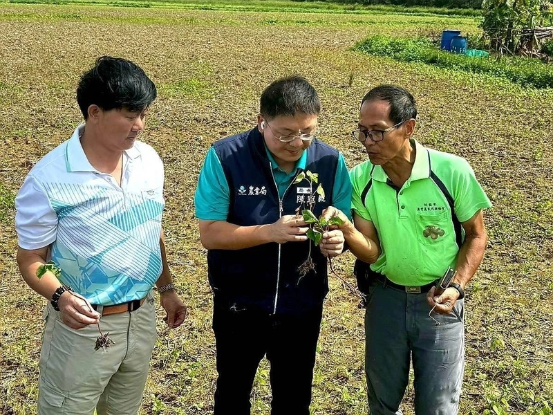 綠色環境獎勵開放申請　桃園市加碼最高4.5萬元