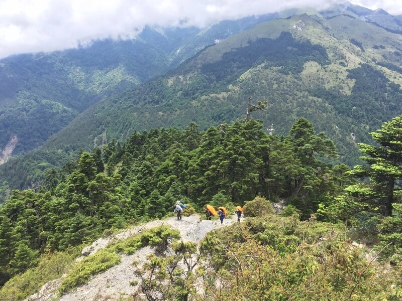 端午假期登奇萊  太管處揪團淨山