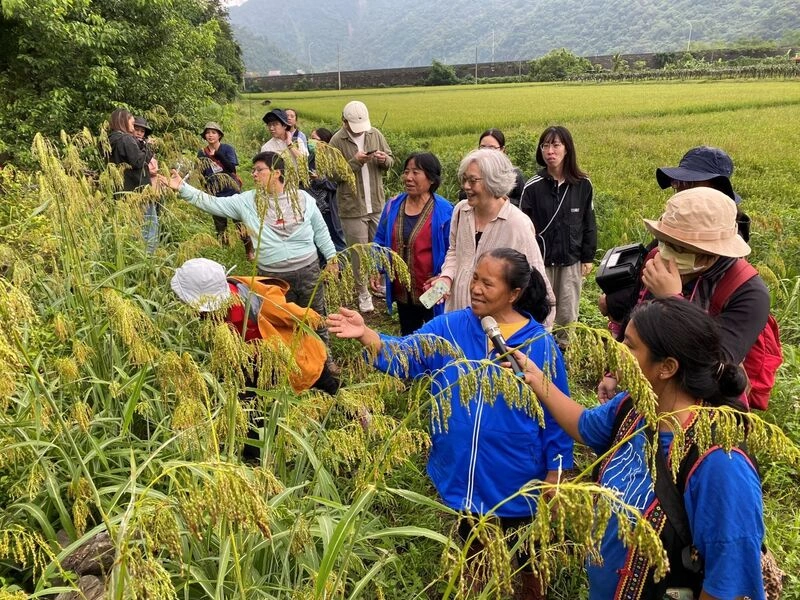 花蓮卓清村傳承原民農耕智慧  登聯合國生物多樣性公約報告