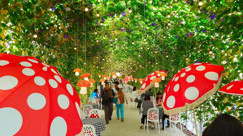 「2025 高山茶都．嘉義」活動（2）