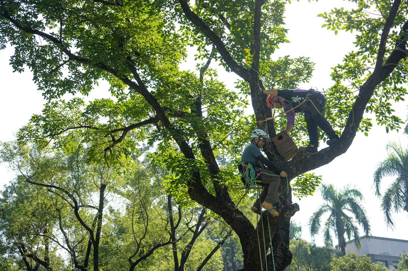 屏東大學校園設巢箱　營造友善生態（2）