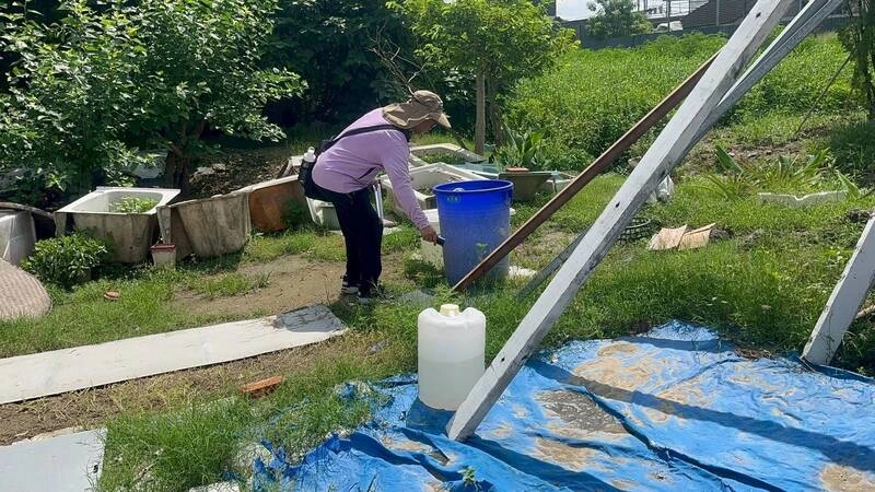 台南第4例登革熱境外移入　柬埔寨旅遊後返國發病