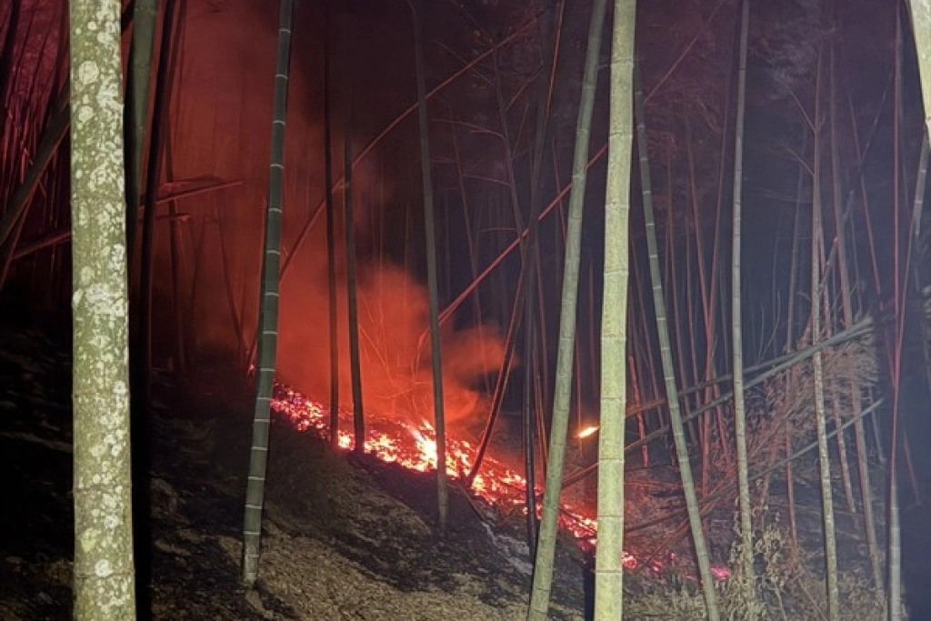 雲林草嶺石壁仙谷山林火警　村民、消防拉水線搶救