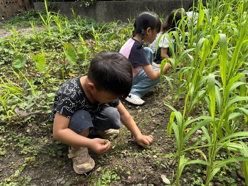 教育部補助476間偏鄉幼兒園　打造在地文化課程