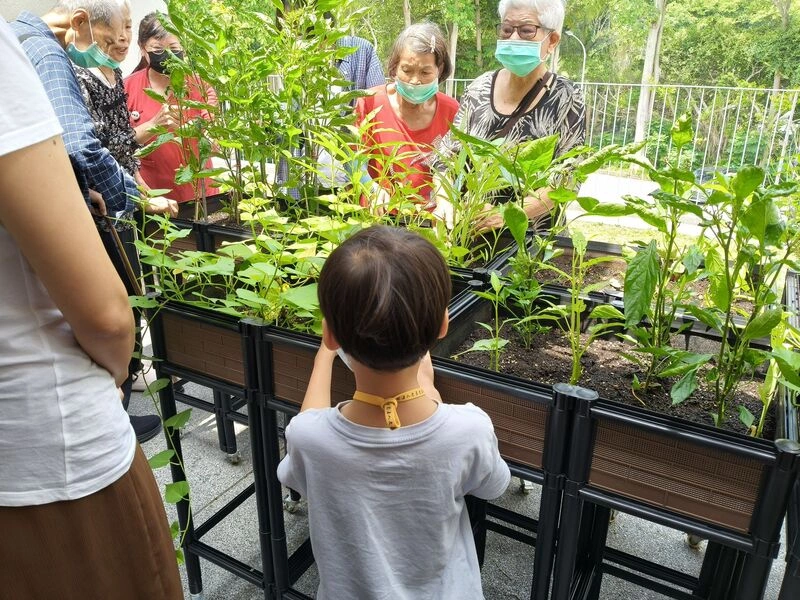 老五老世代交流活動　孩童長輩接力照顧植栽