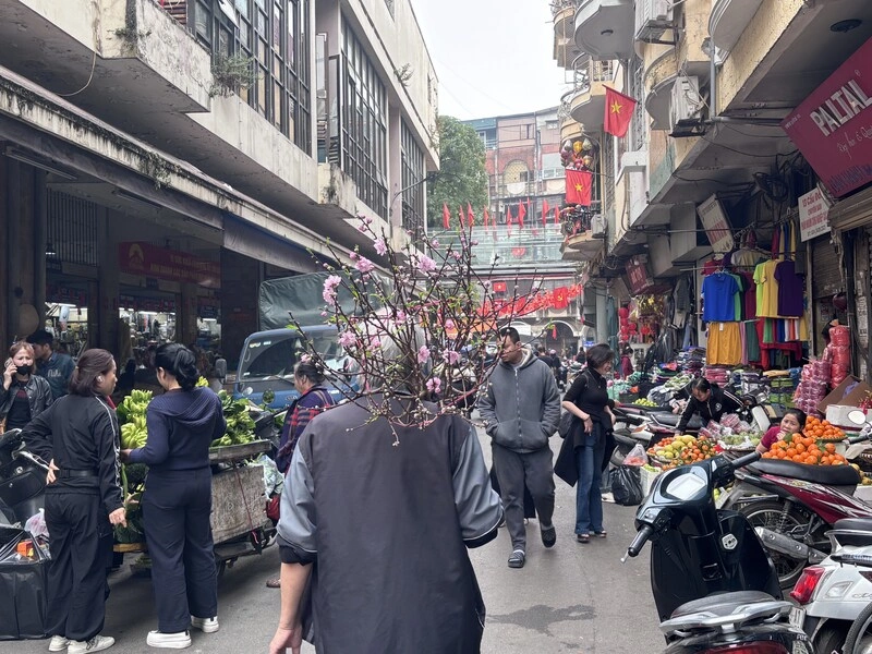 河內千年36古街化身年貨大街  粽子桃花春節味濃