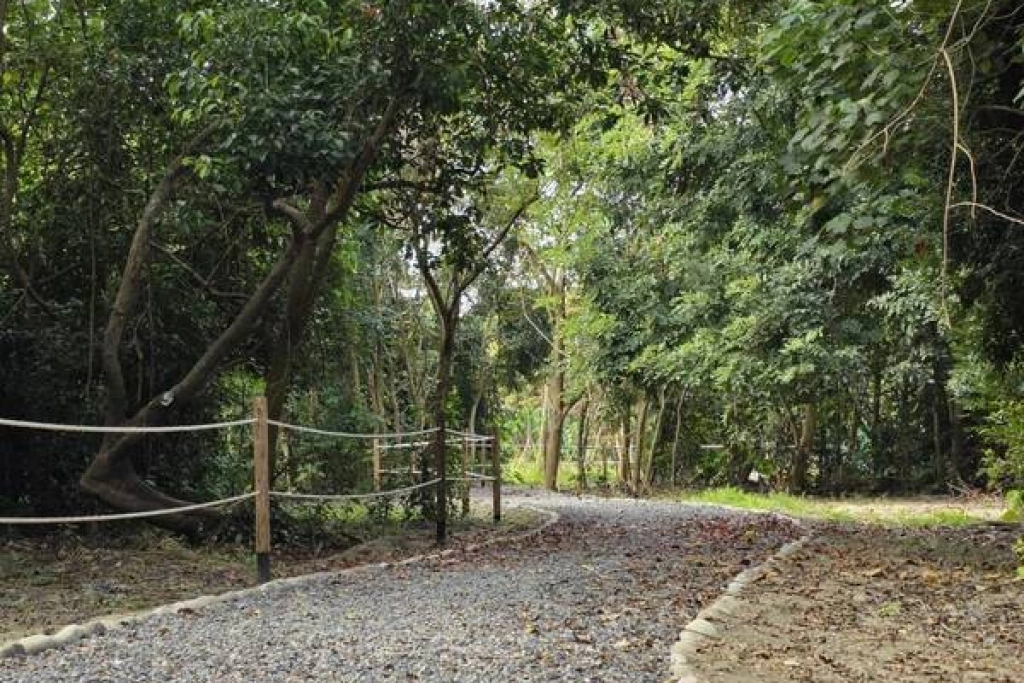 屏東萬丹森林公園15日啟用　潘若迪率千人跳有氧