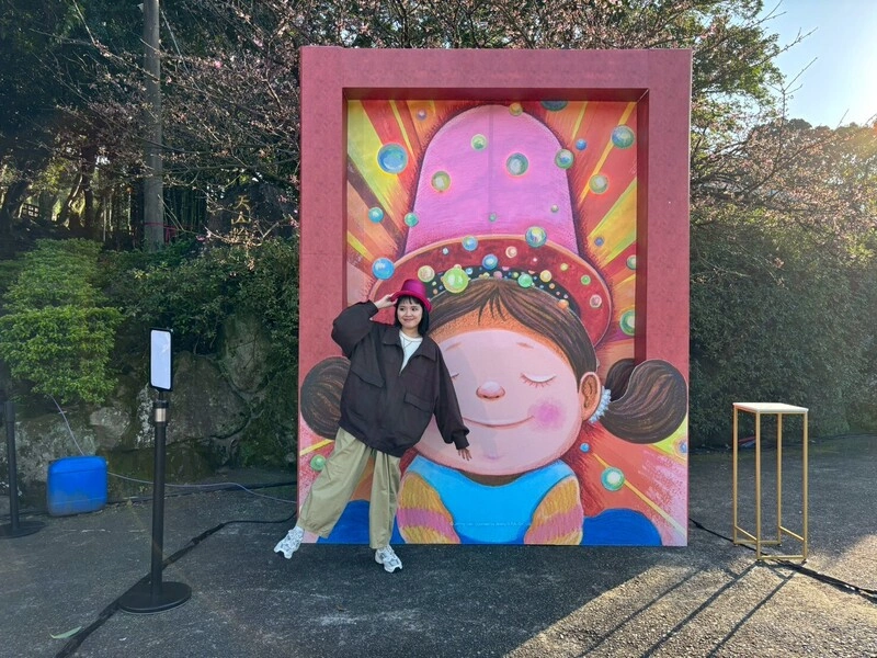 淡水天元宮櫻花季開跑　每晚5至8時點燈賞夜櫻