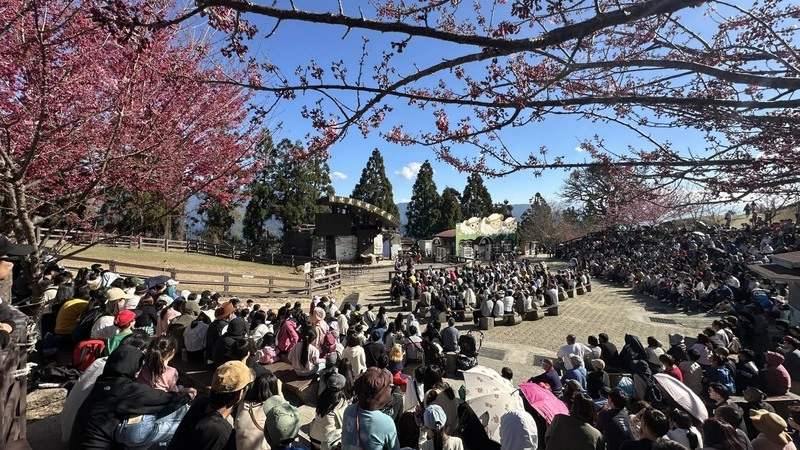 星巴克、紙箱王熄燈　清境農場：祝福、市場代謝